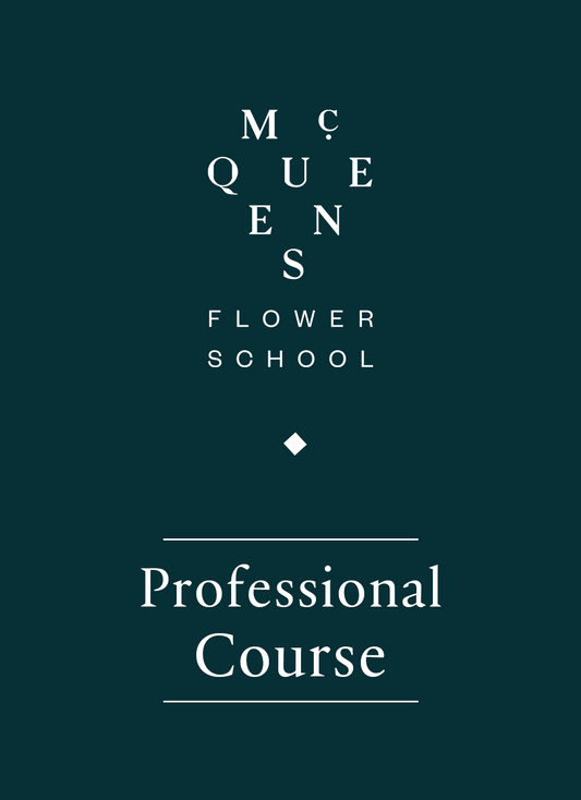 6월 토요반 Professional Course (전문가반) - 6/27 개강