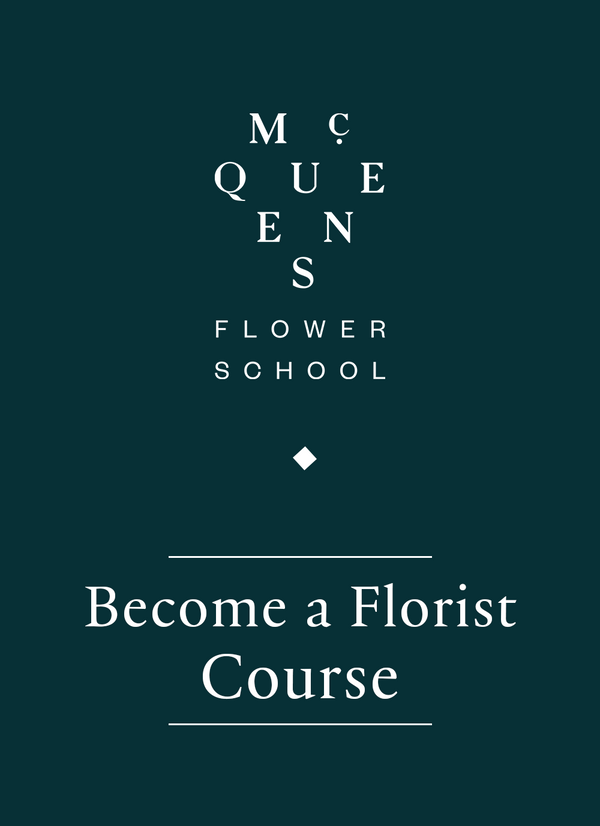 11월 Become a Florist Course (기초반) - 11/2 ~ 11/23 토요반